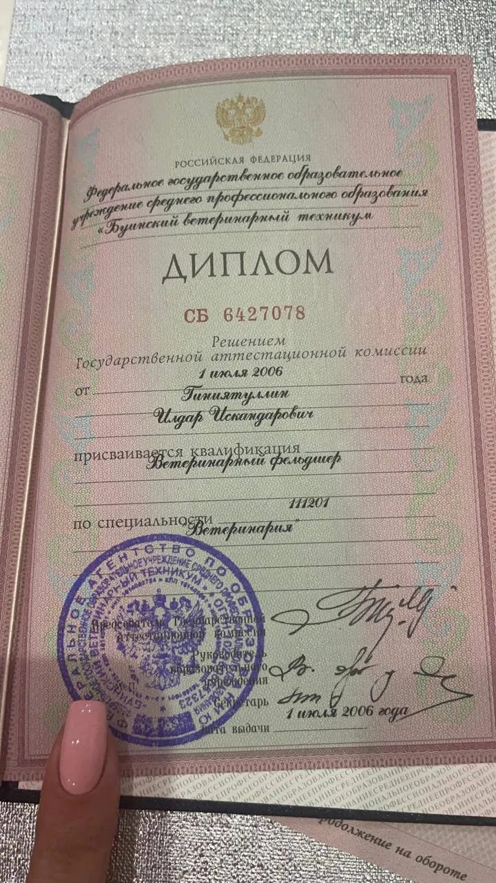 Документ или сертификат
