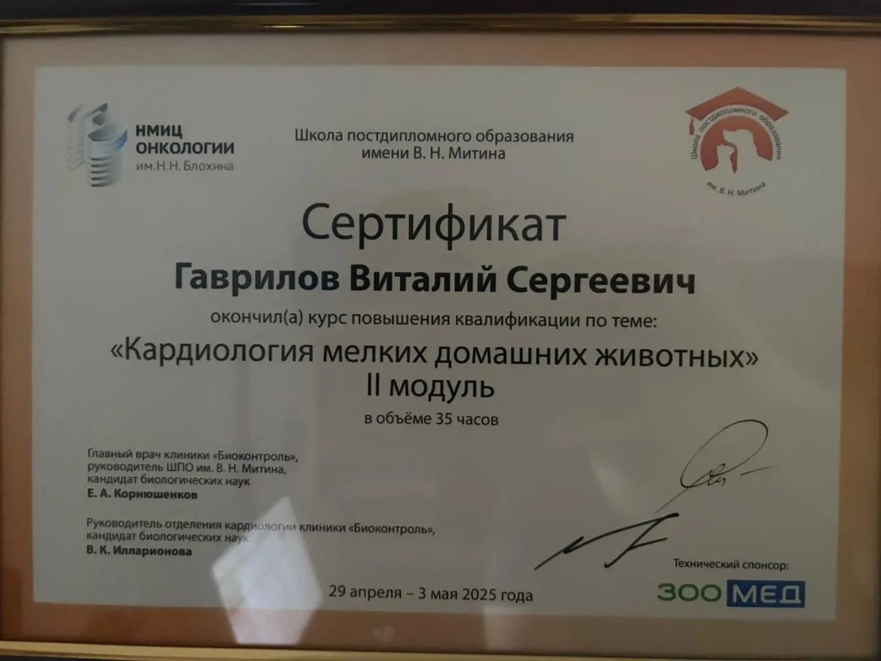 Документ или сертификат
