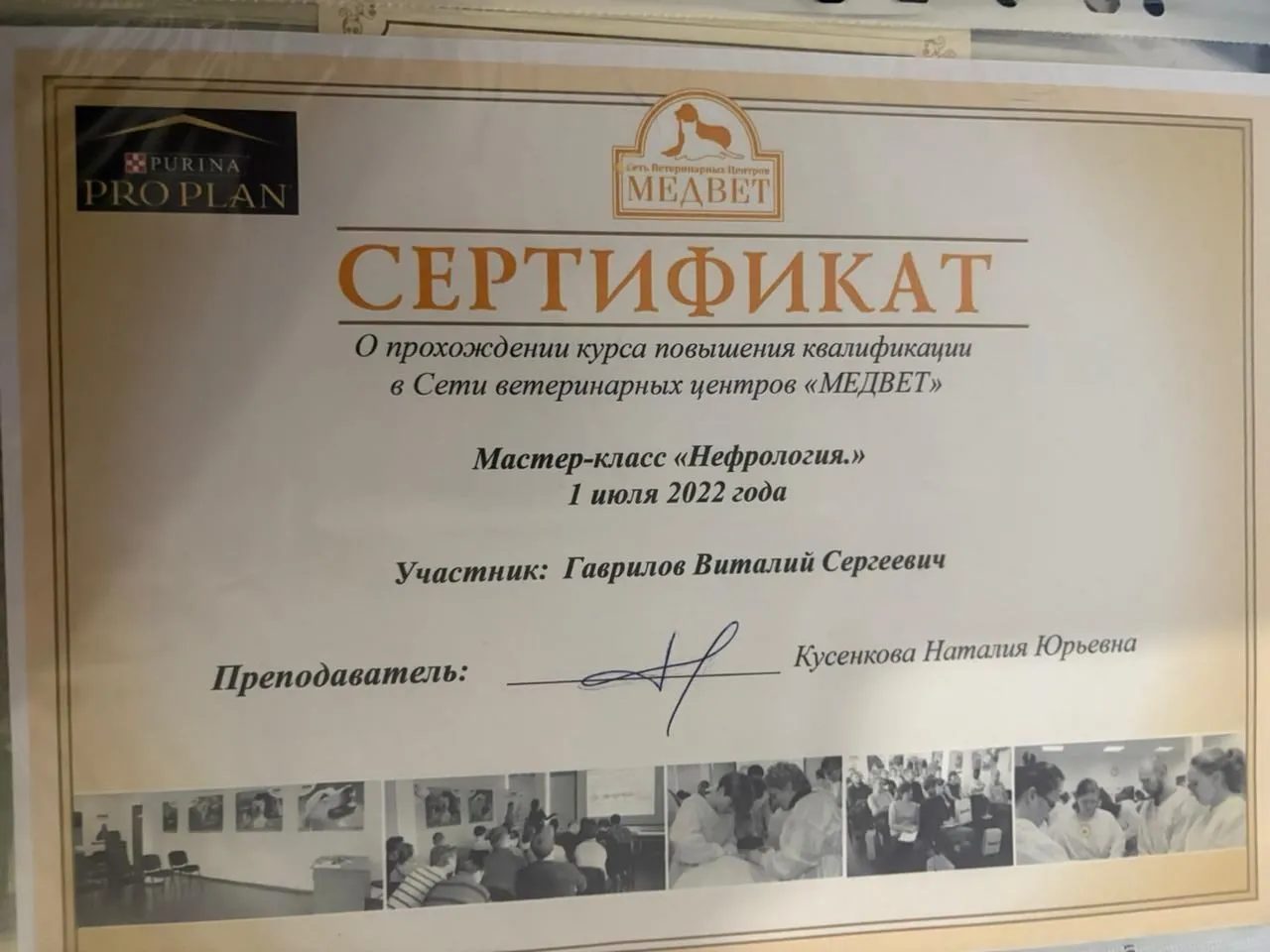 Документ или сертификат