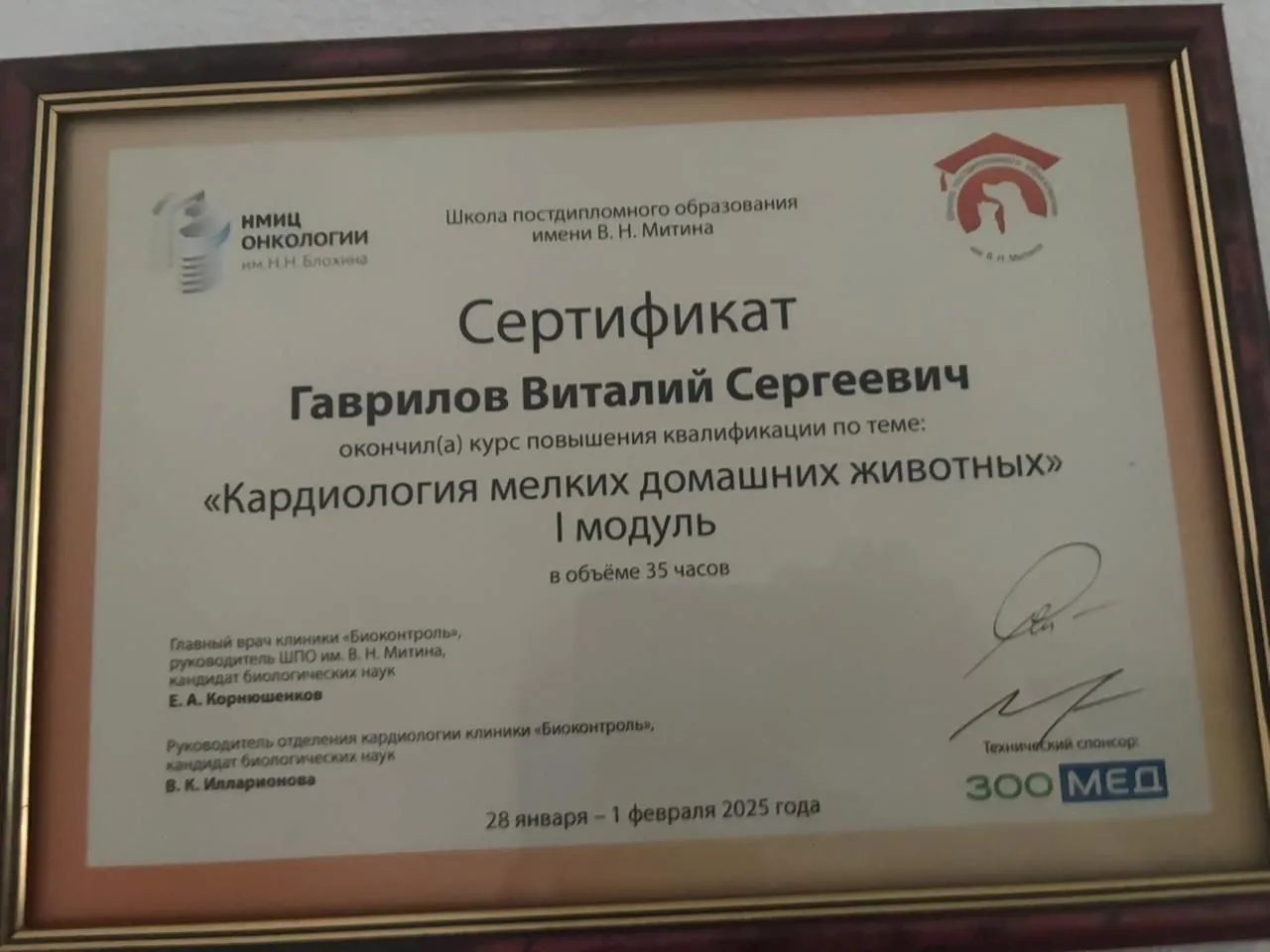 Документ или сертификат
