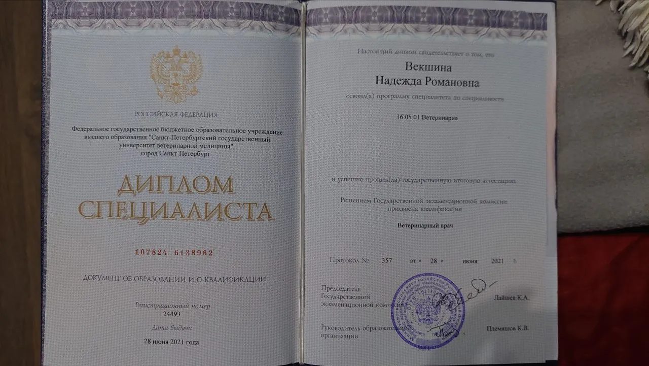 Документ или сертификат