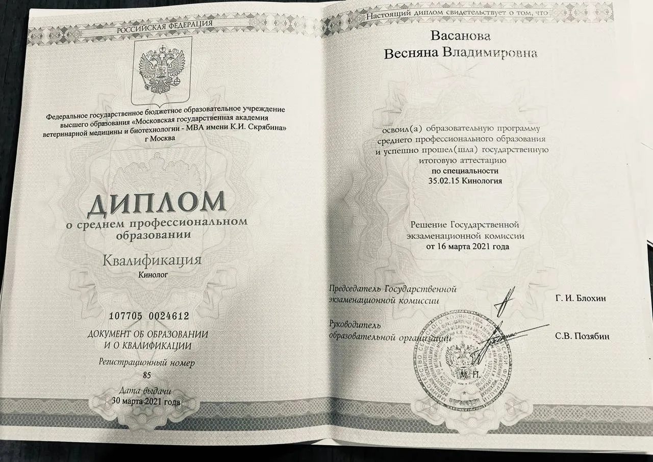 Документ или сертификат