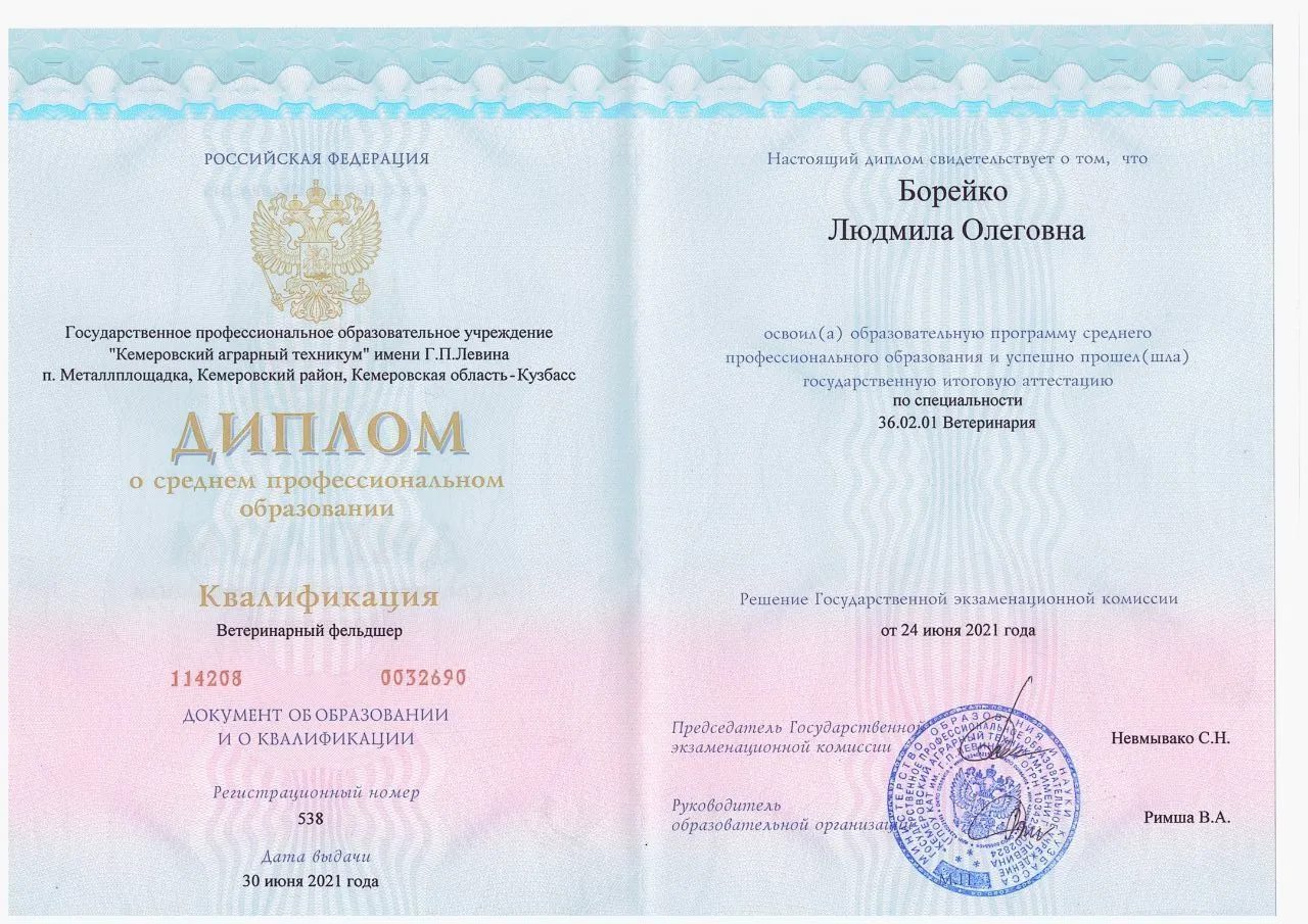 Документ или сертификат