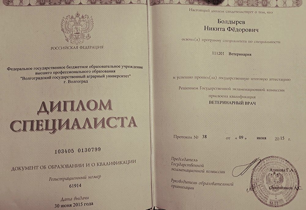 Документ или сертификат