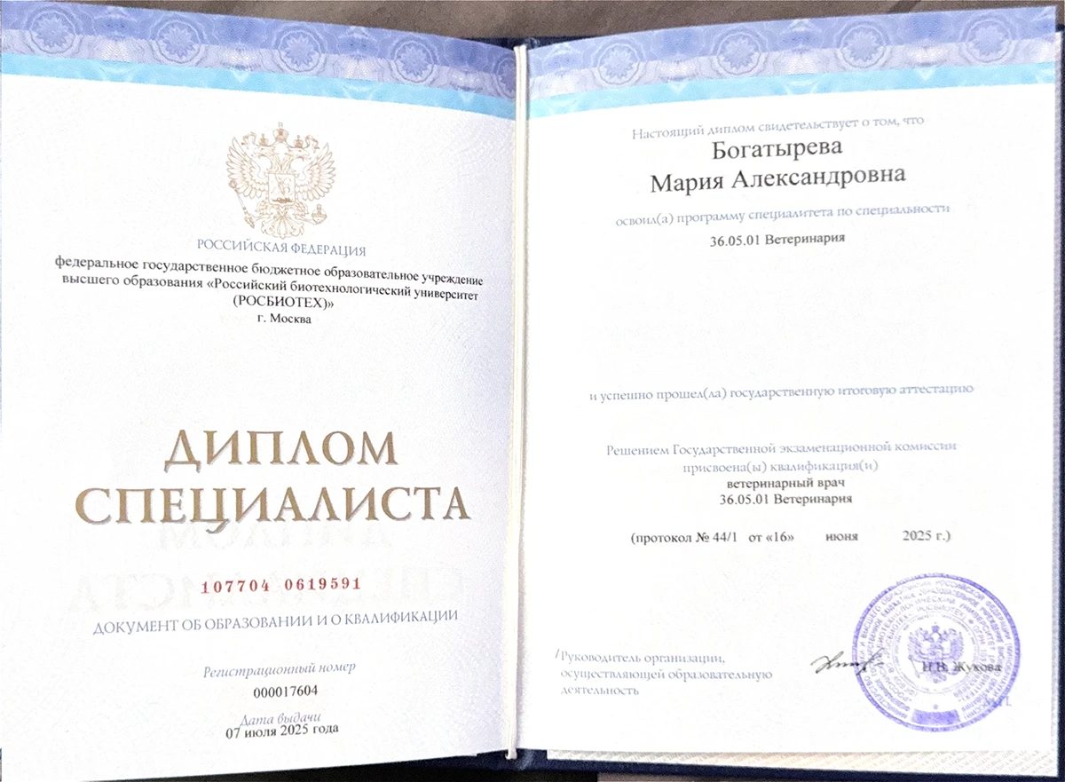 Документ или сертификат