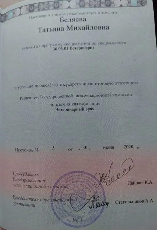 Документ или сертификат