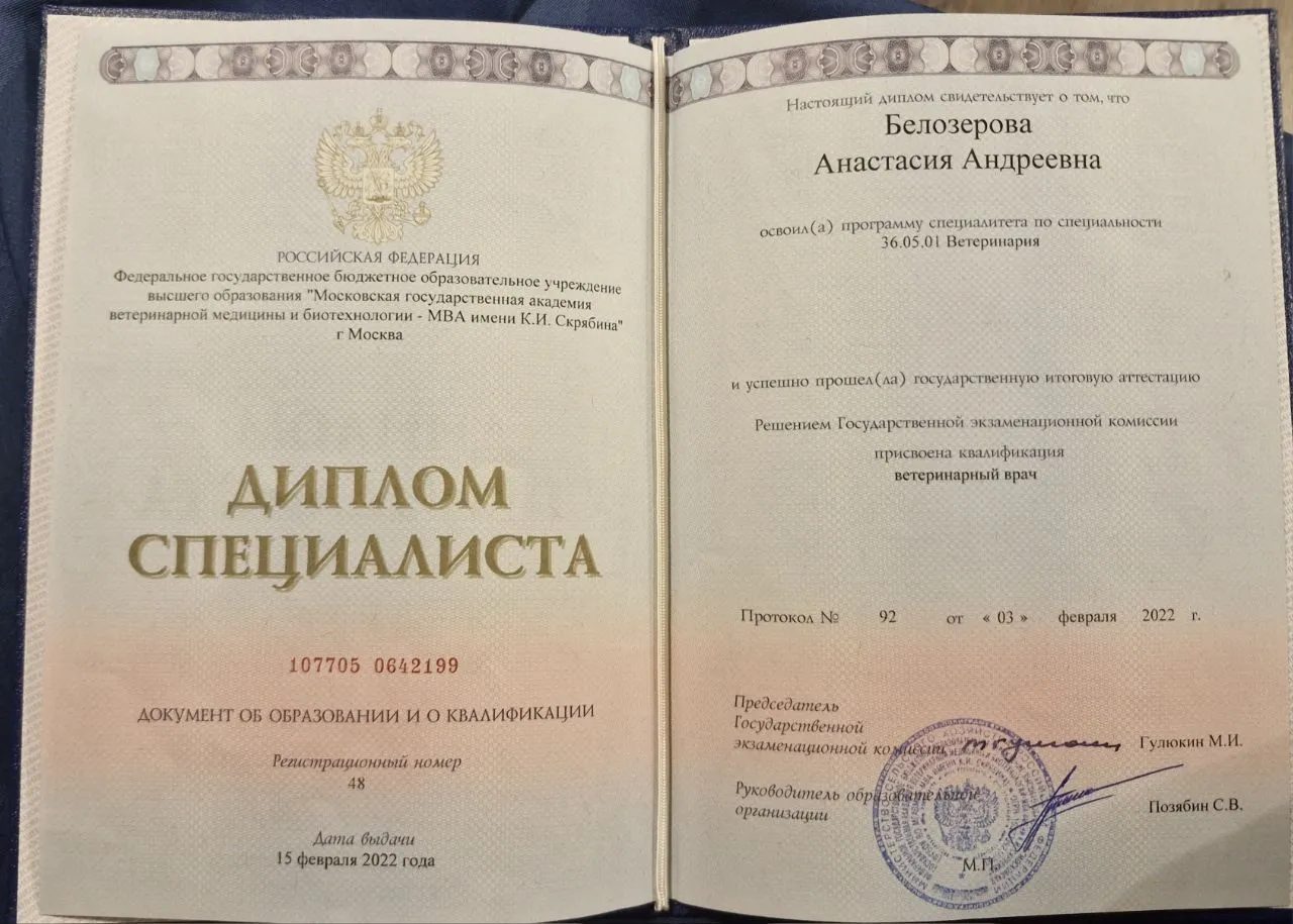 Документ или сертификат