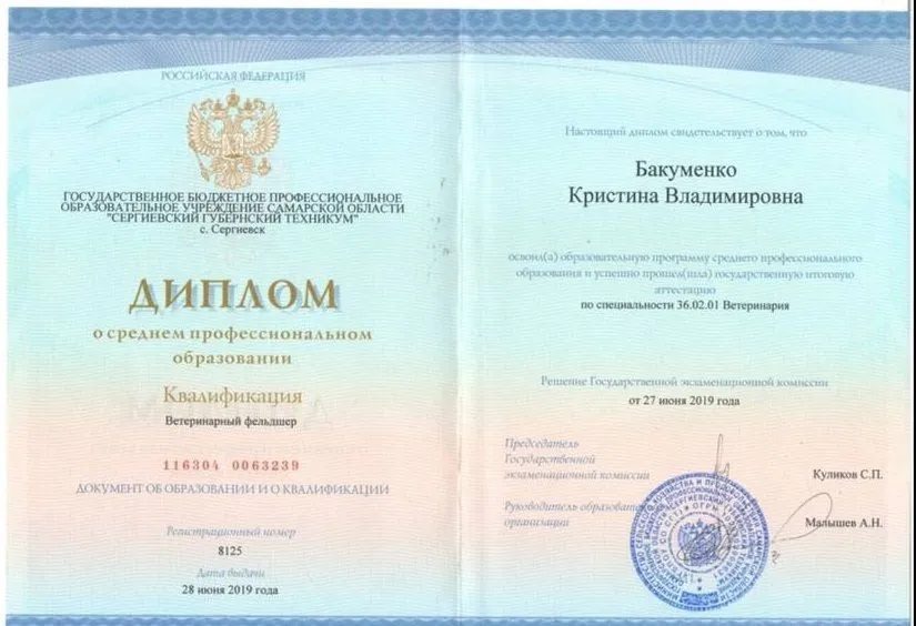 Документ или сертификат
