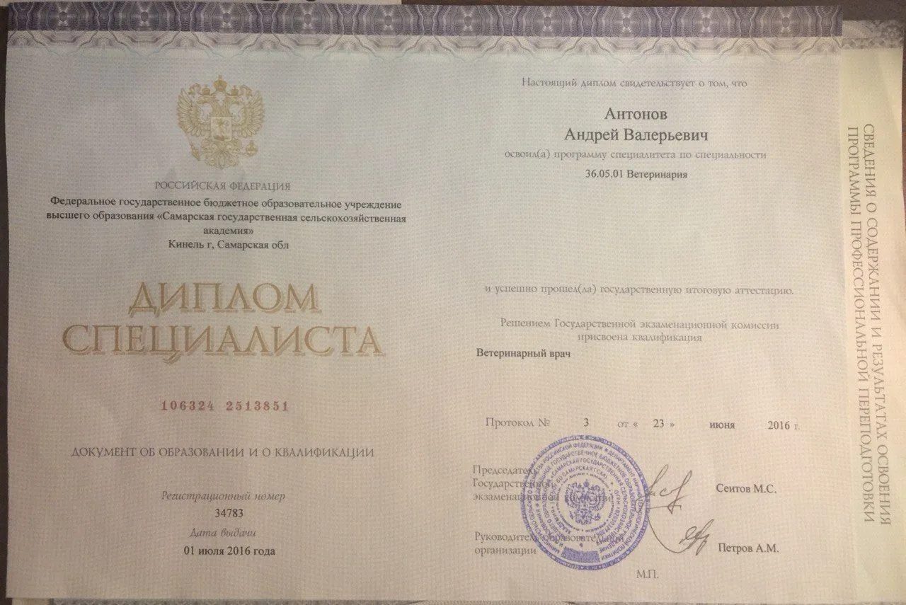 Документ или сертификат