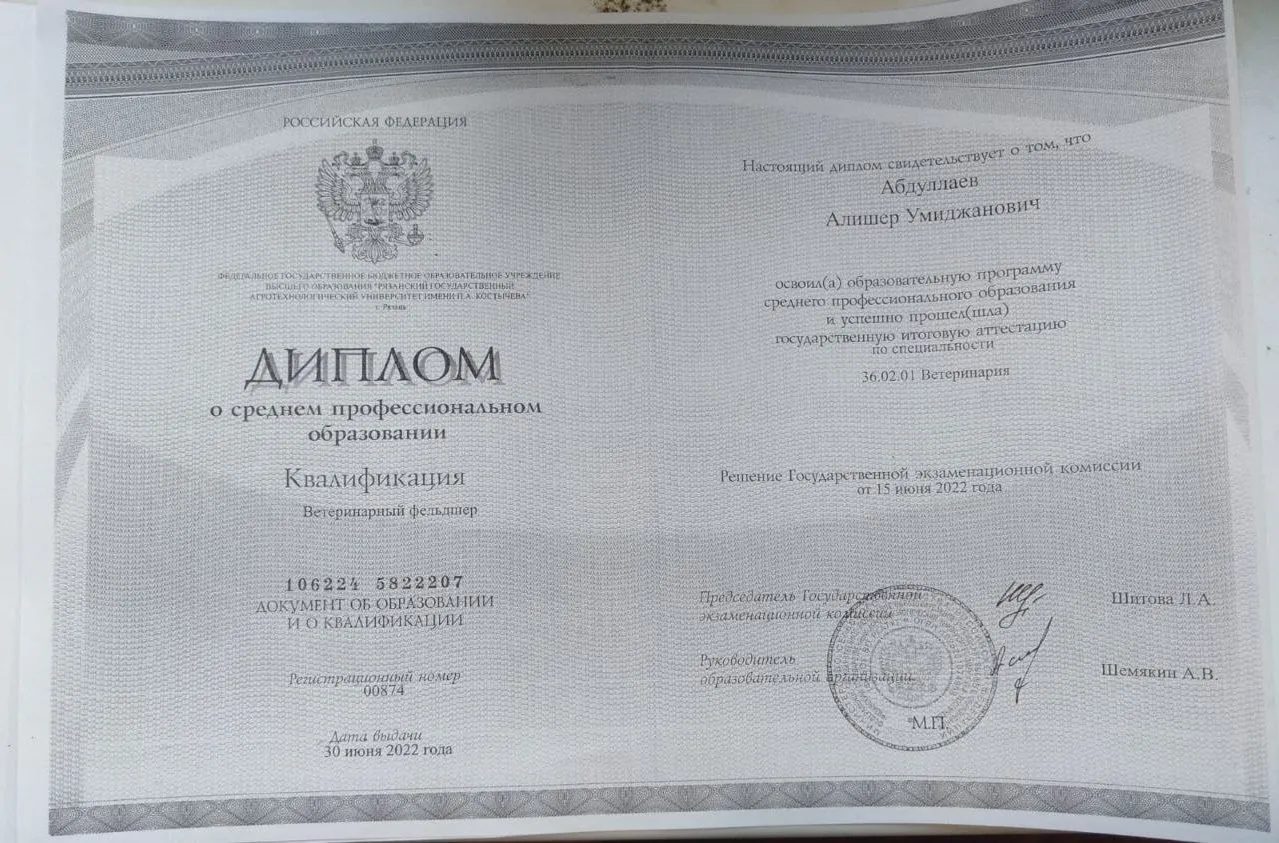Документ или сертификат