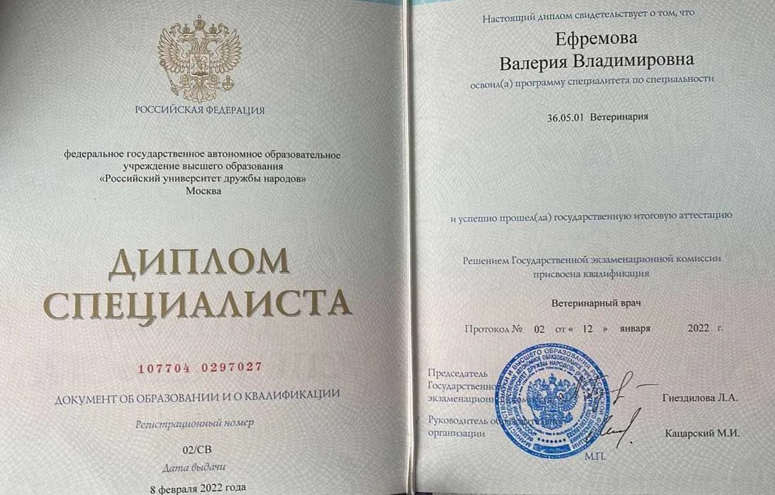 Документ или сертификат