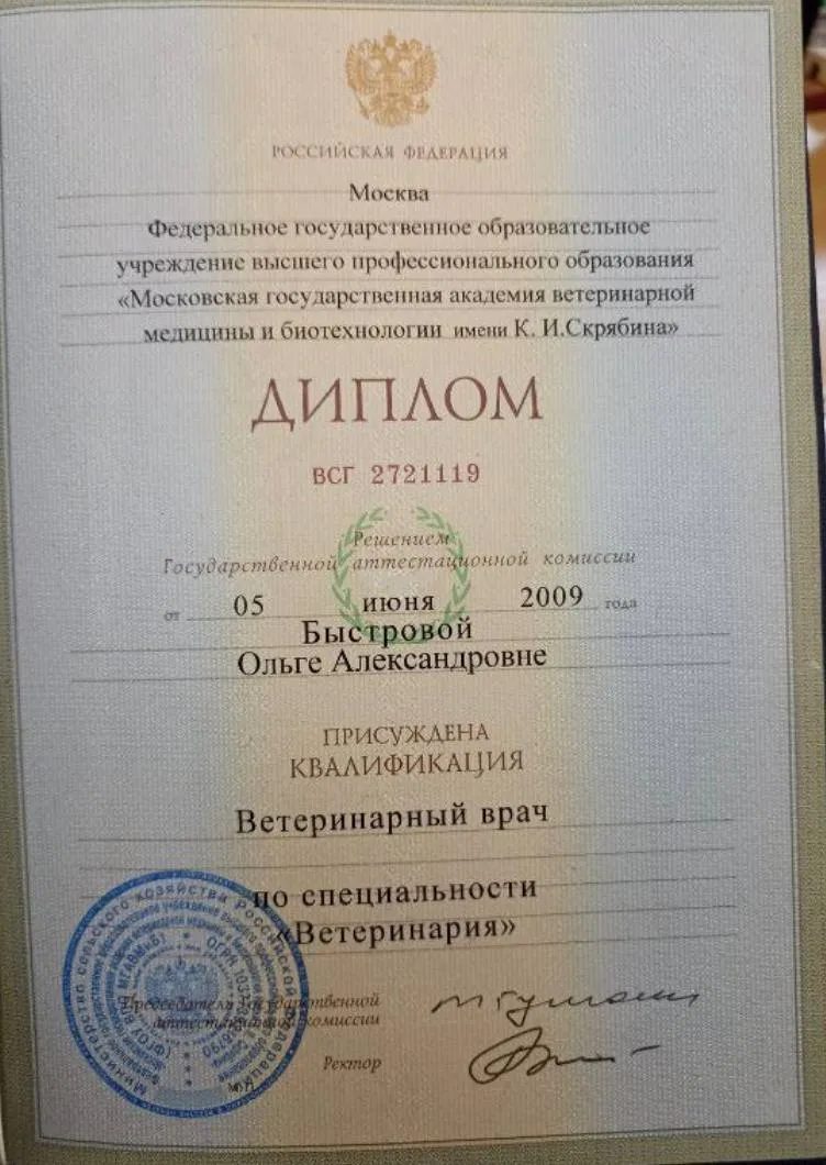 Документ или сертификат