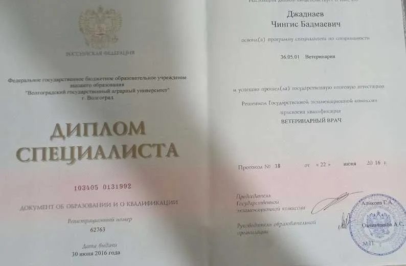 Документ или сертификат