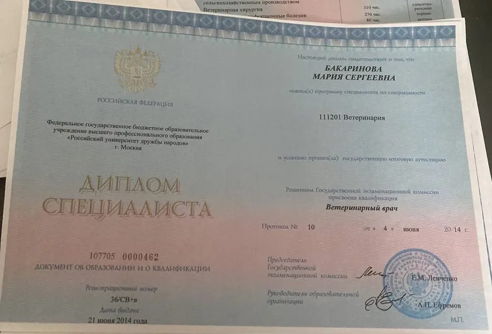 Документ или сертификат