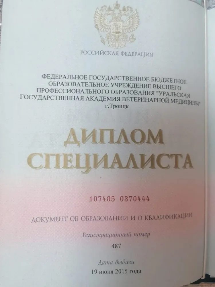 Документ или сертификат