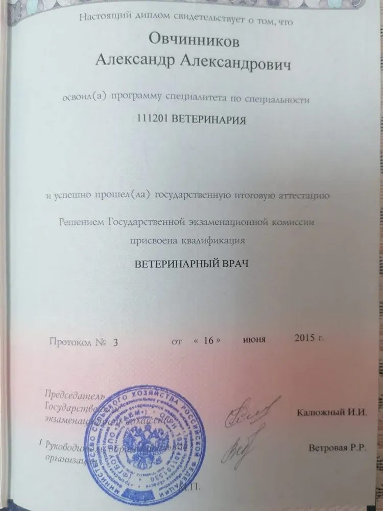 Документ или сертификат