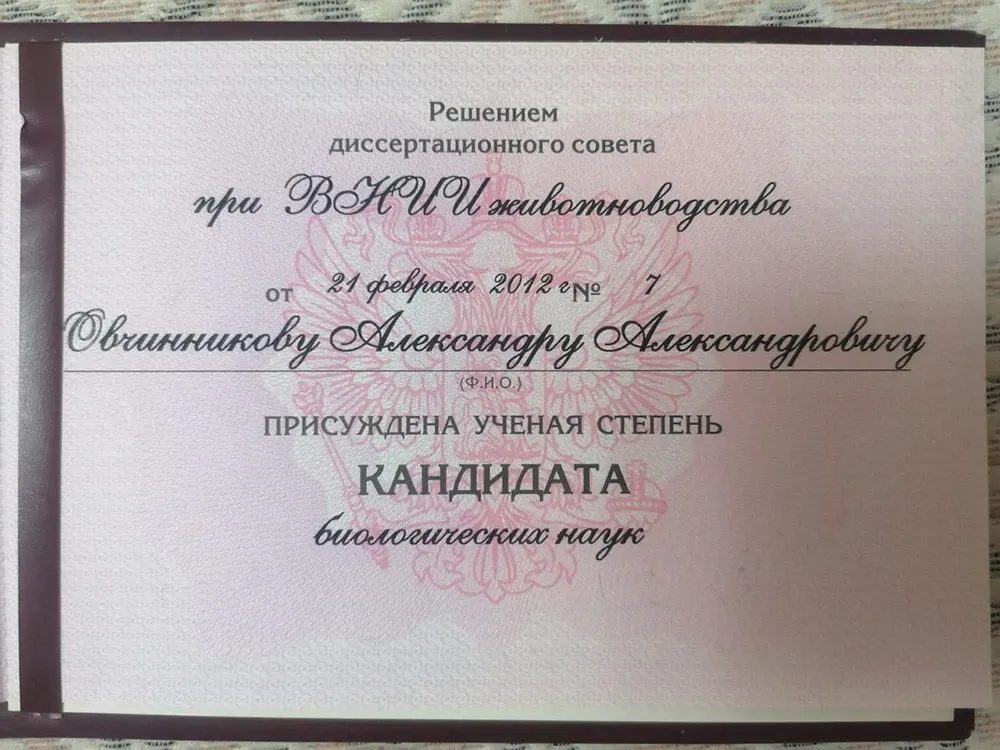 Документ или сертификат