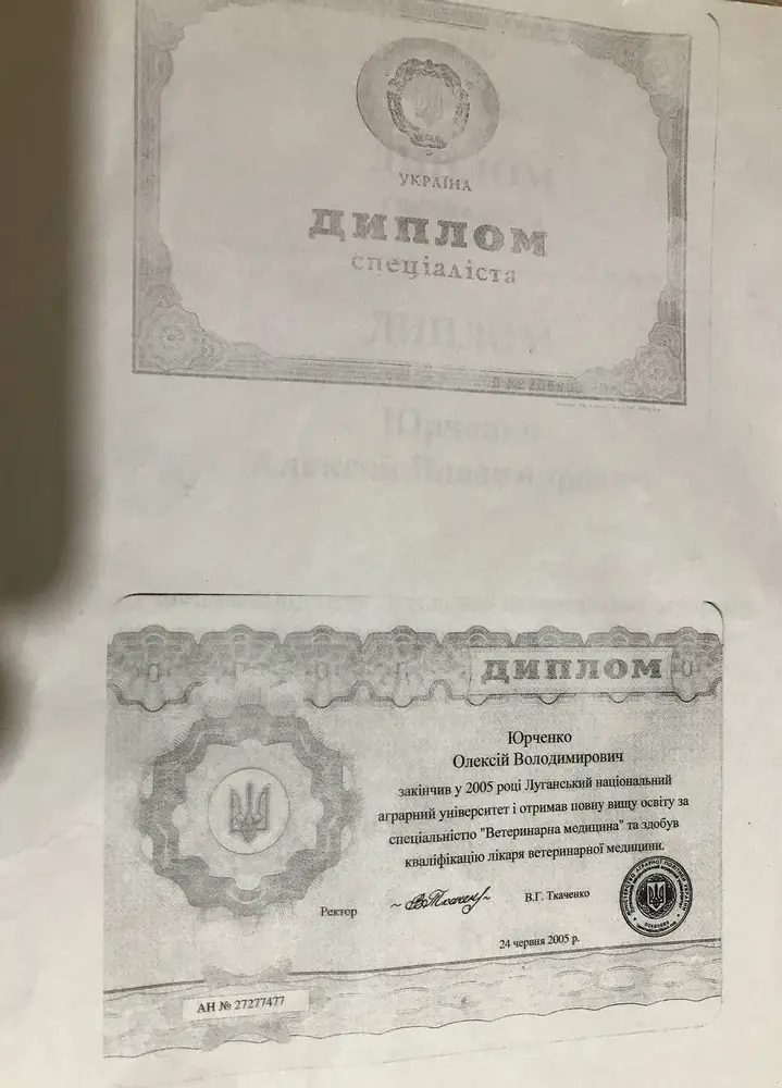 Документ или сертификат