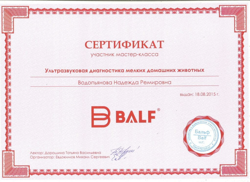 Документ или сертификат