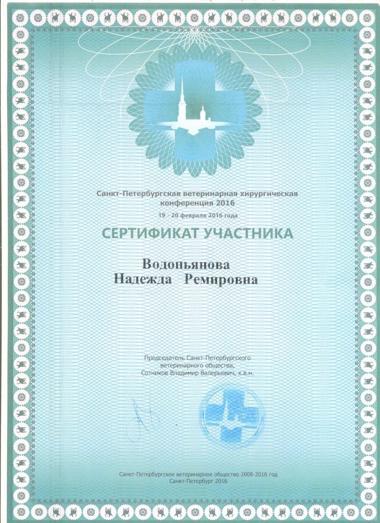 Документ или сертификат