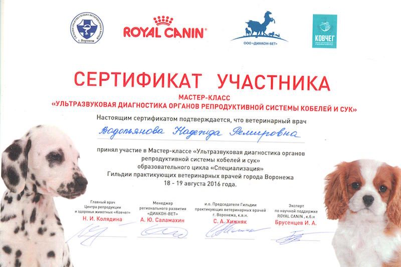 Документ или сертификат