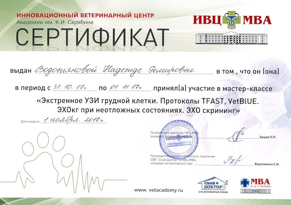 Документ или сертификат