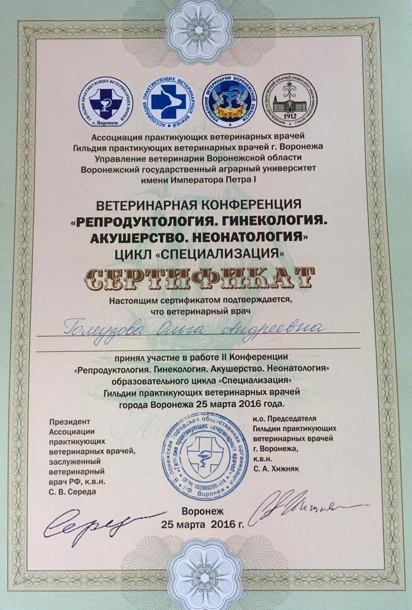 Документ или сертификат