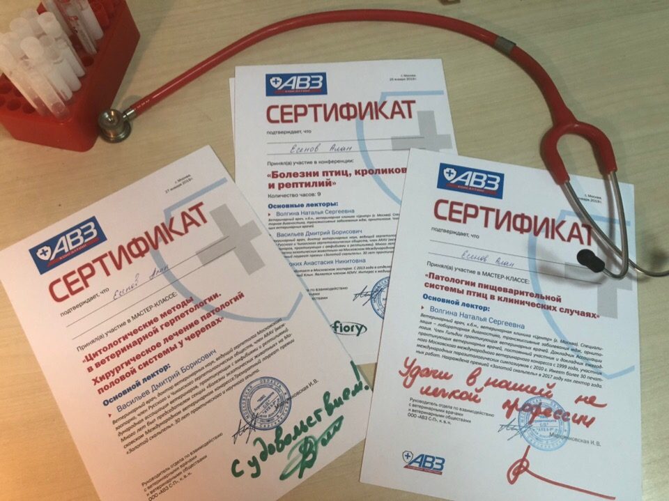 Документ или сертификат
