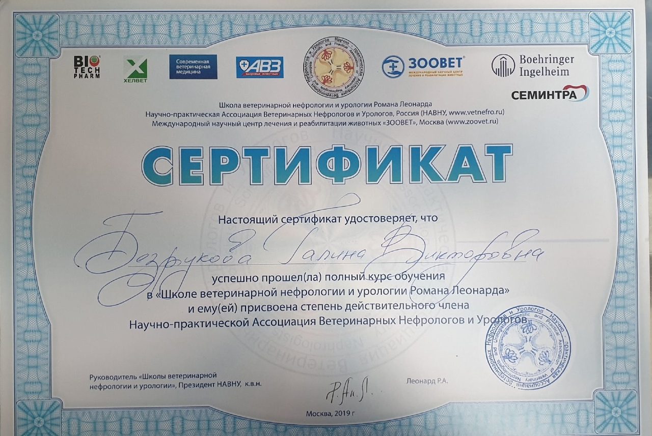 Документ или сертификат