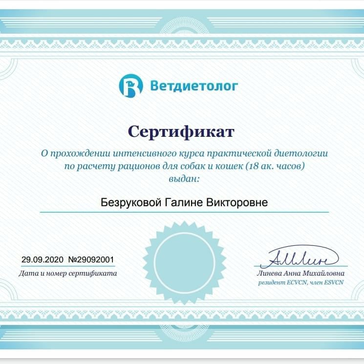 Документ или сертификат