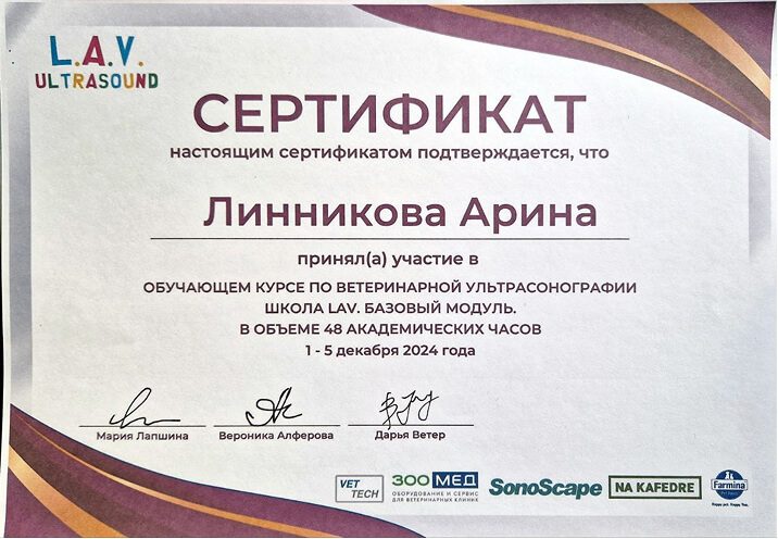 Документ или сертификат