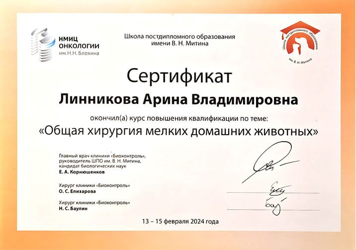 Документ или сертификат
