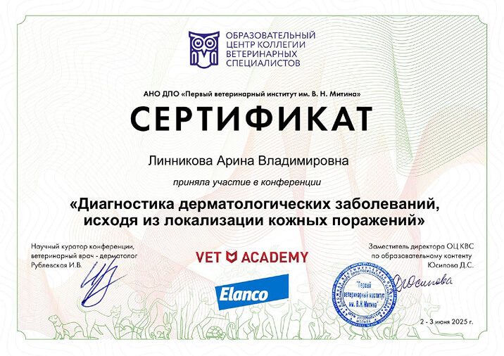 Документ или сертификат