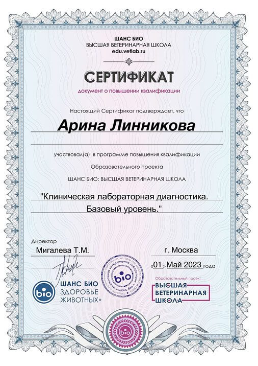 Документ или сертификат