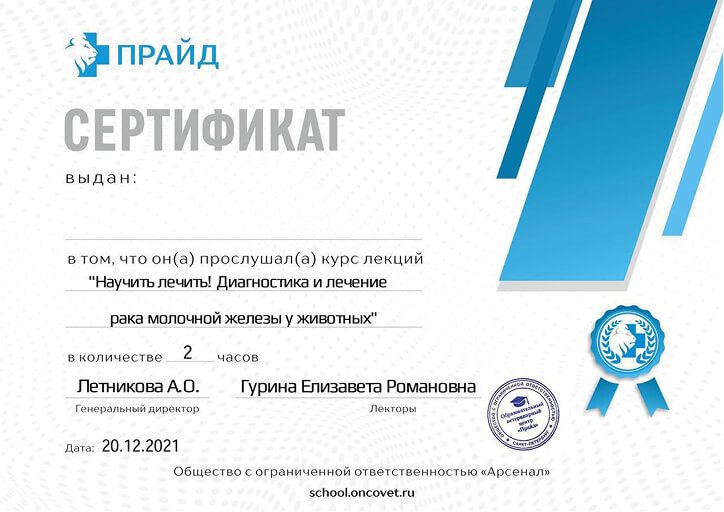 Документ или сертификат