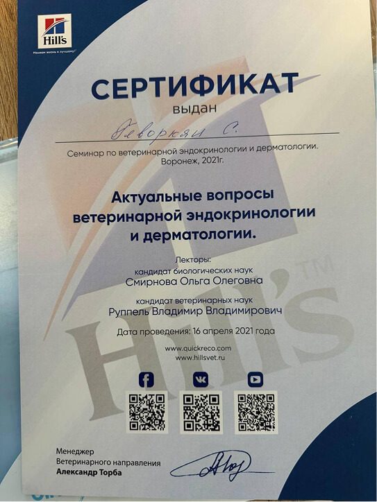 Документ или сертификат