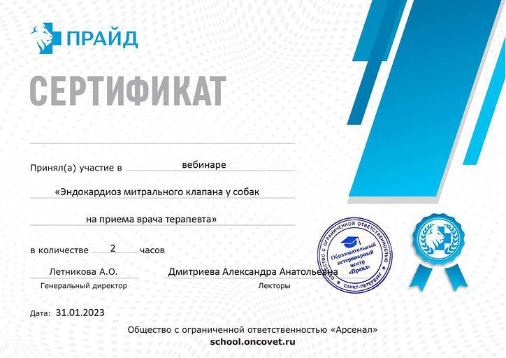 Документ или сертификат