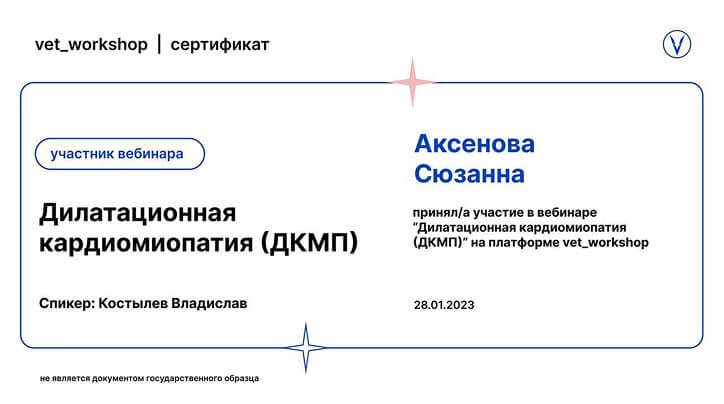 Документ или сертификат