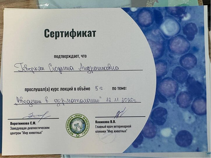 Документ или сертификат