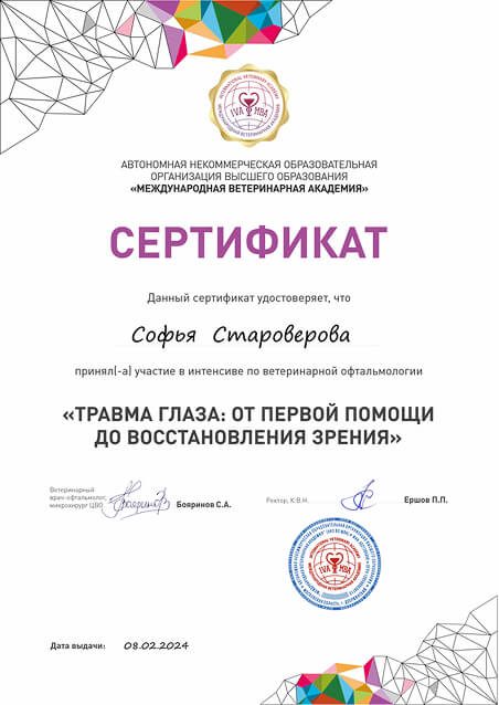 Документ или сертификат