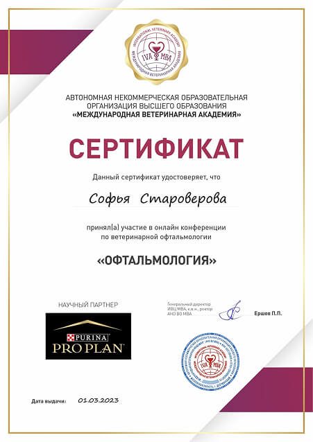 Документ или сертификат