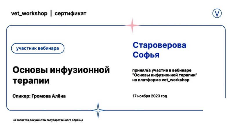Документ или сертификат