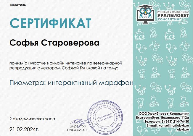 Документ или сертификат