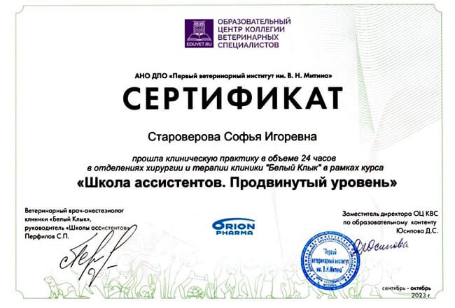 Документ или сертификат
