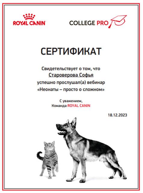 Документ или сертификат