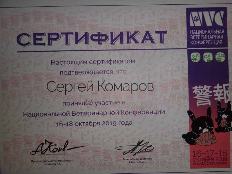 Документ или сертификат