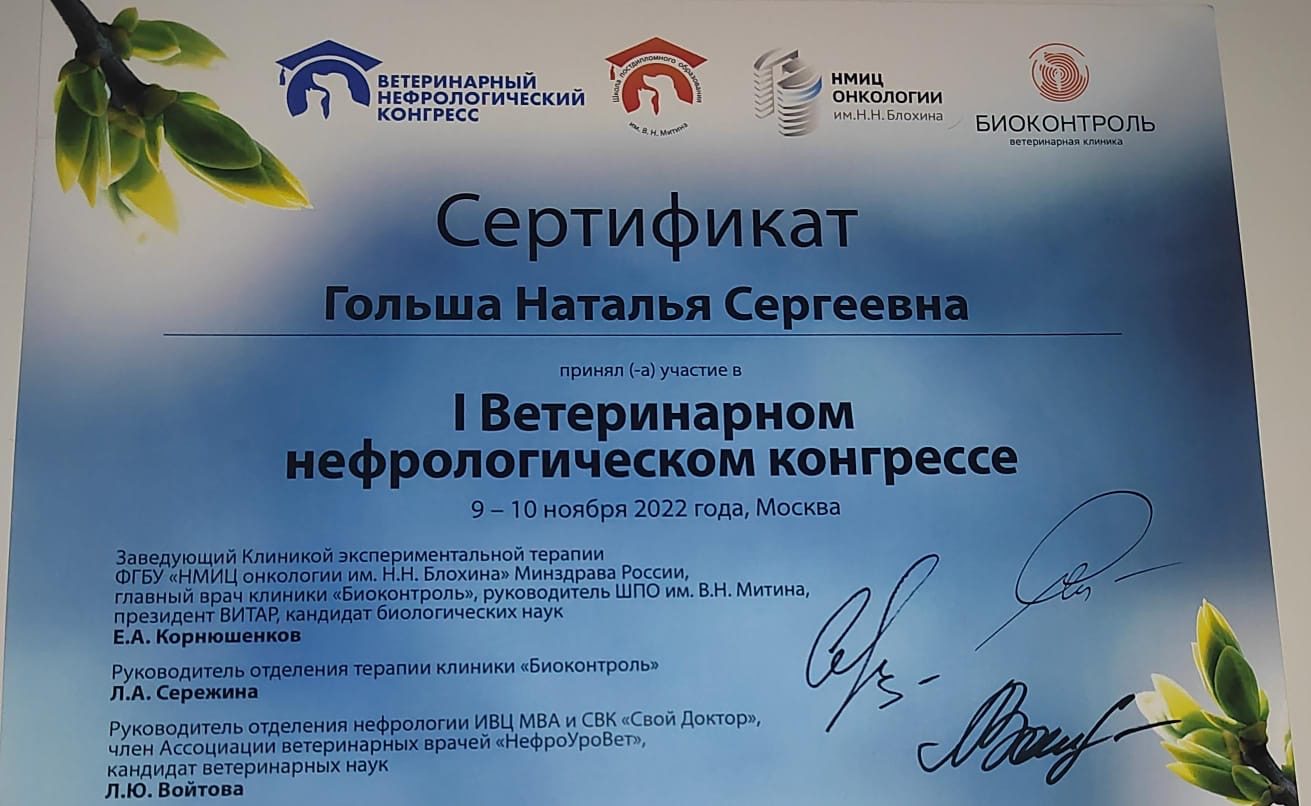 Документ или сертификат
