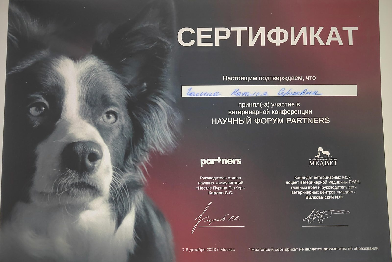Документ или сертификат