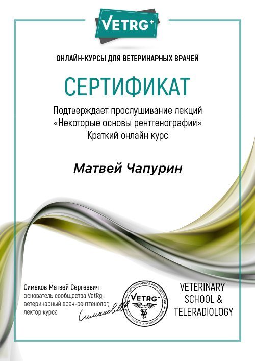 Документ или сертификат