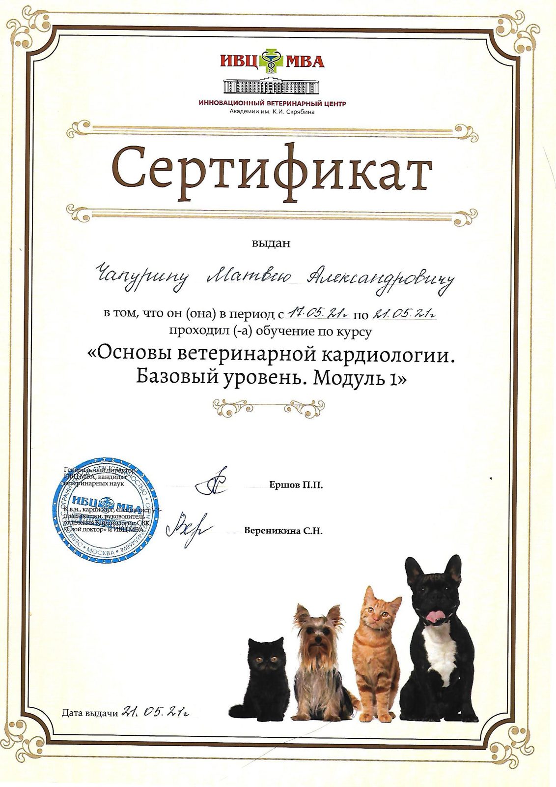 Документ или сертификат